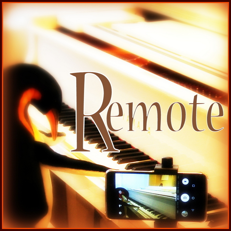 Remote Lessons